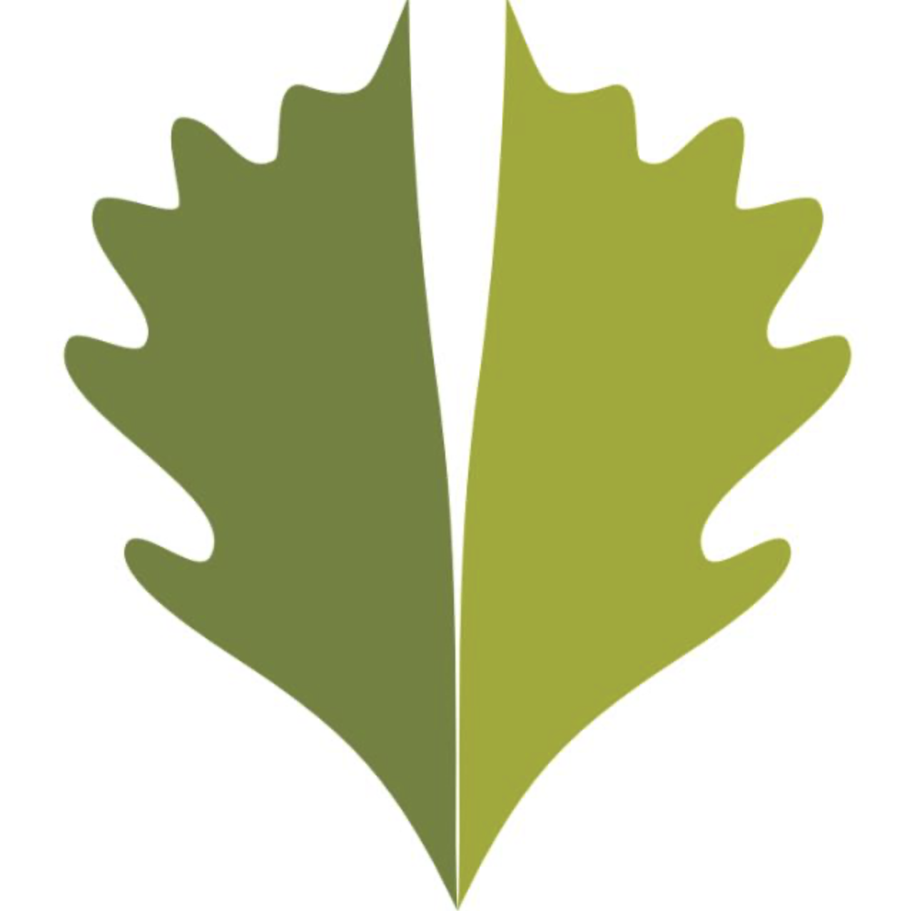 Fishtail Ceylon Logo
